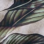 Βαμβακερό Ύφασμα Φ280cm Alocasia