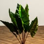 Κολοκασία Τεχνητή Πράσινη Plant 60cm