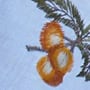  Θήκη Για Cookies, Ψωμί Με Κέντημα Βελανίδι  Salt ΙΙΙ