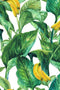Ύφασμα Σχέδιο Φύλλα Green Leaves Φ280cm