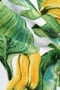 Ύφασμα Σχέδιο Φύλλα Green Leaves Φ280cm