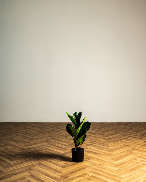 Φίκος Φυτό Τεχνητό Plant 50cm