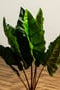 Κολοκασία Τεχνητή Πράσινη Plant 60cm
